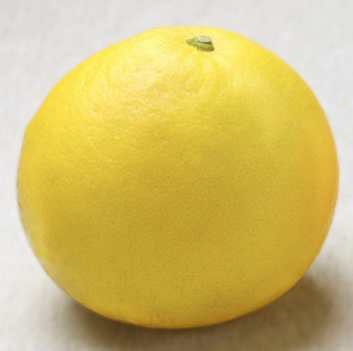 Concentrated Buntan drink(高知の文旦ドリンク)