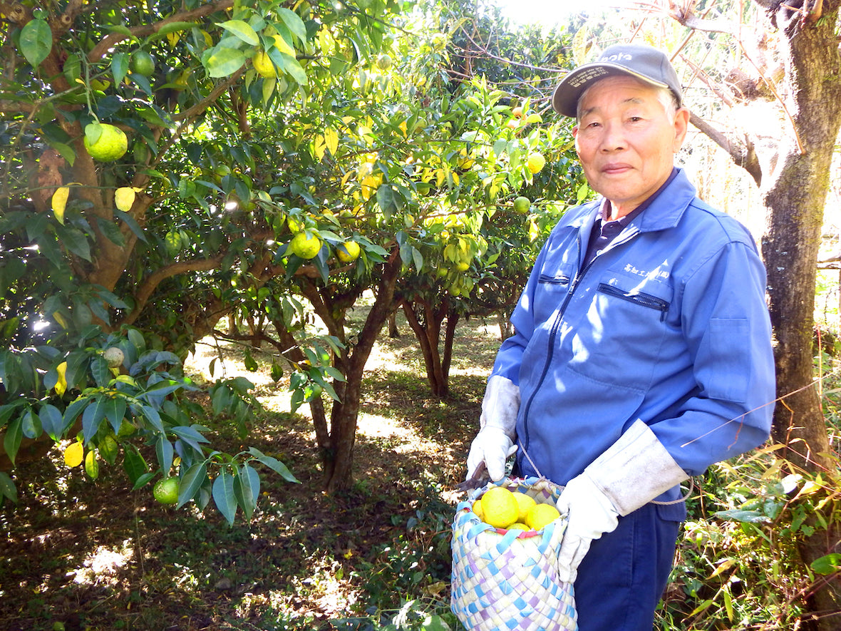 Concentrated Yuzu drink(高知の柚子ドリンク)