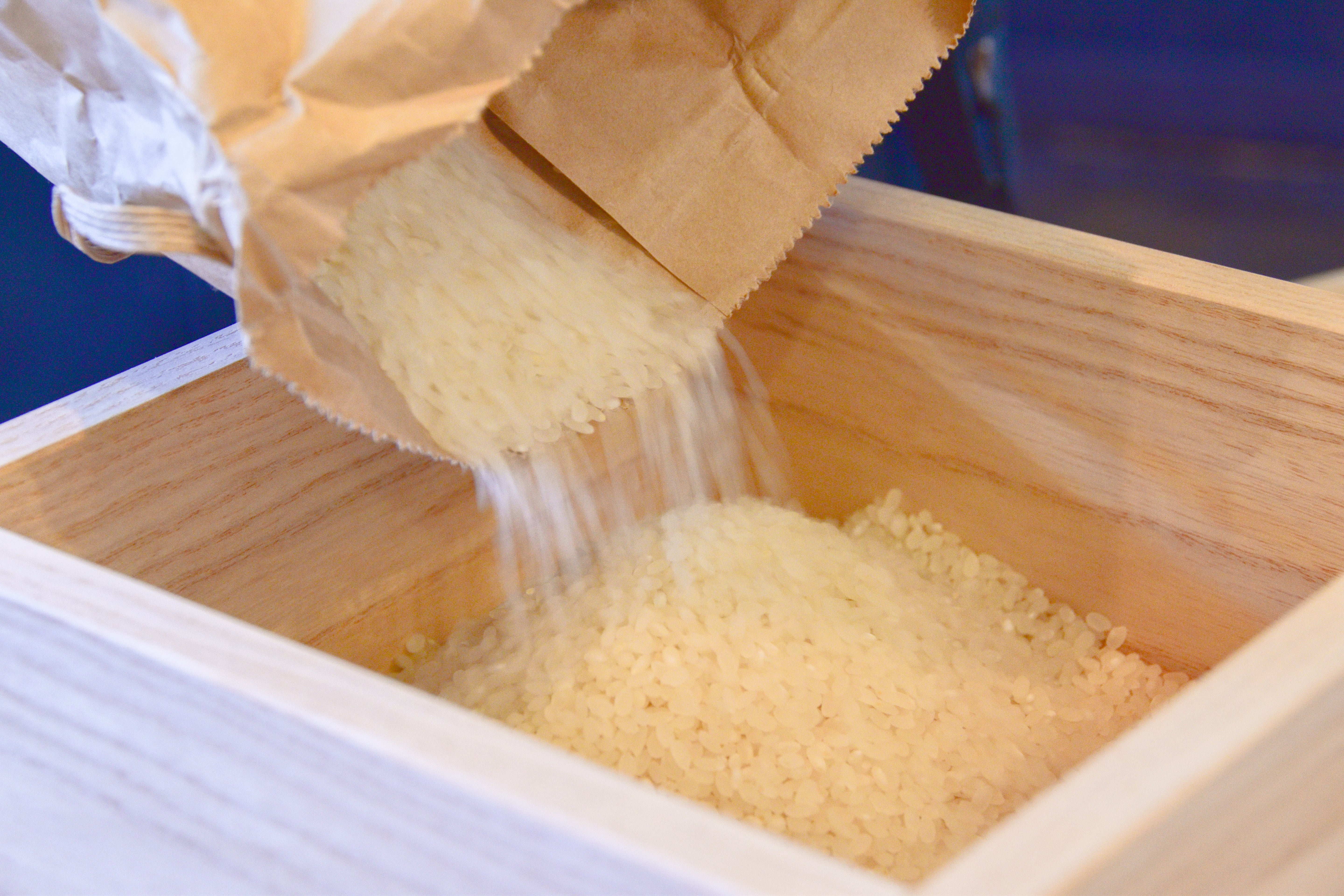 津南桐の米びつ/一合升付き