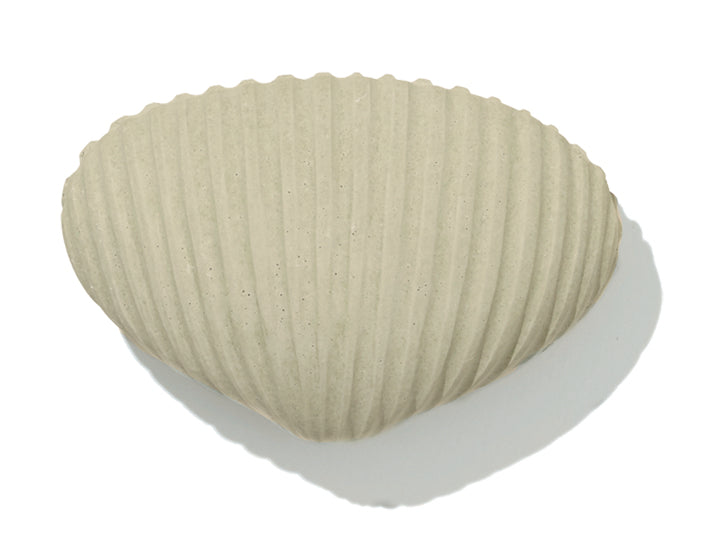 ドライングオブジェグルーヴ