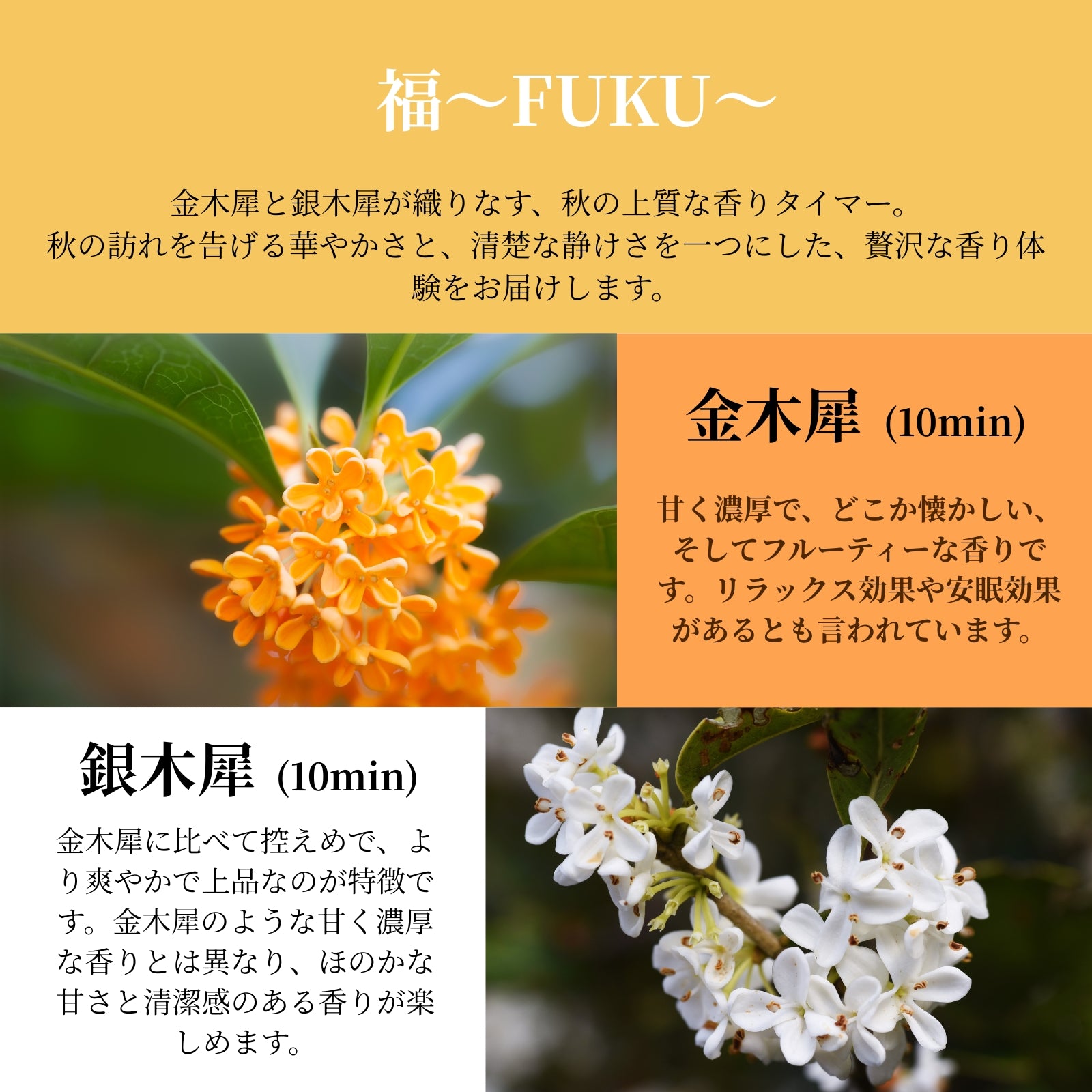 福~FUKU~