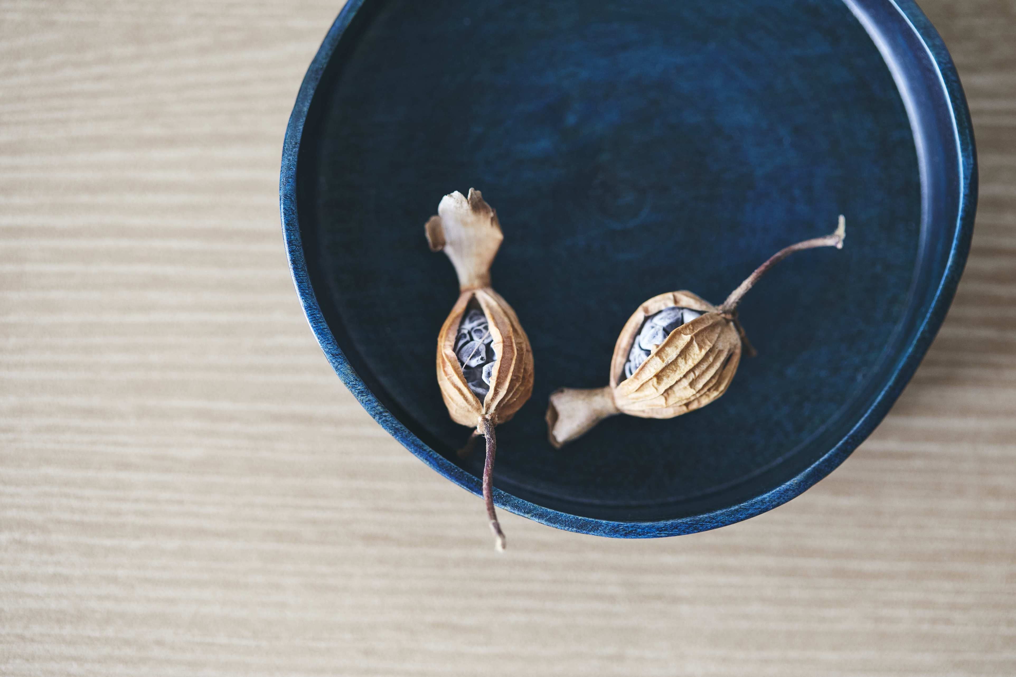 蕾(つぼみ)<相手が選べるギフト対象>