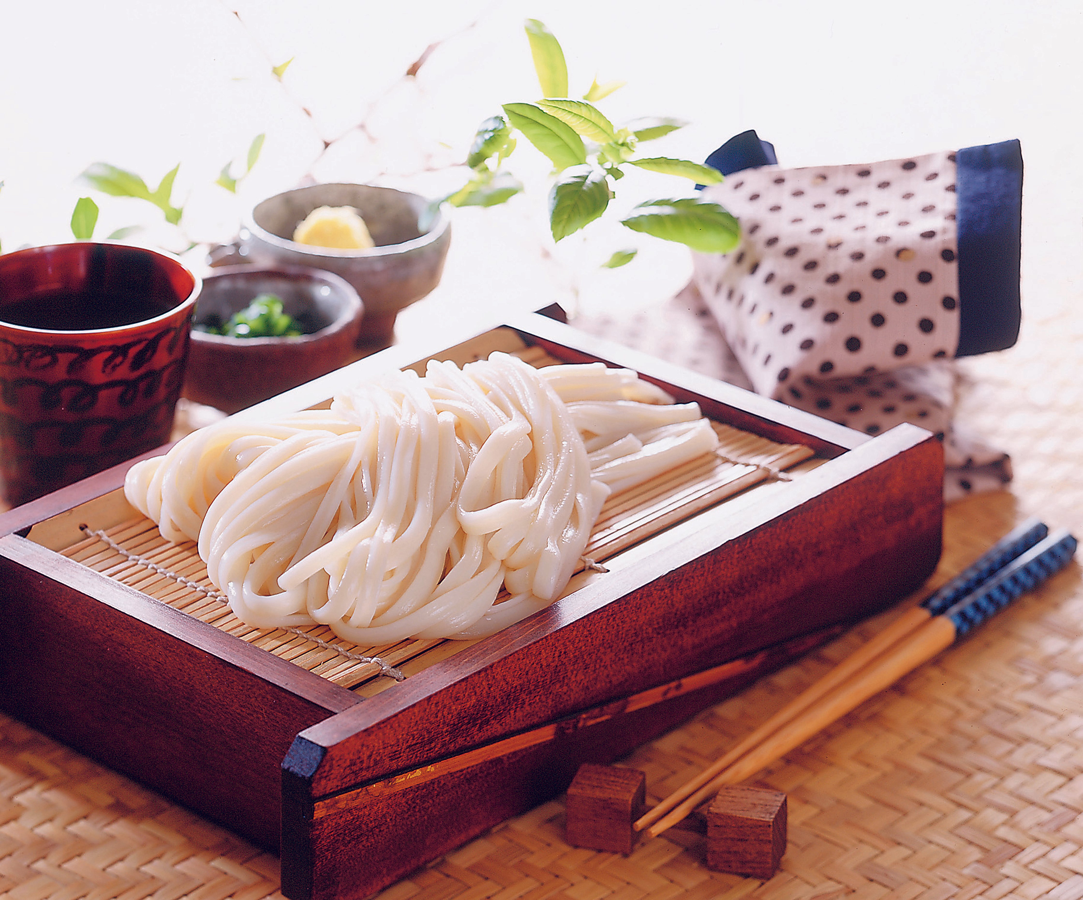 手延べ本葛うどん