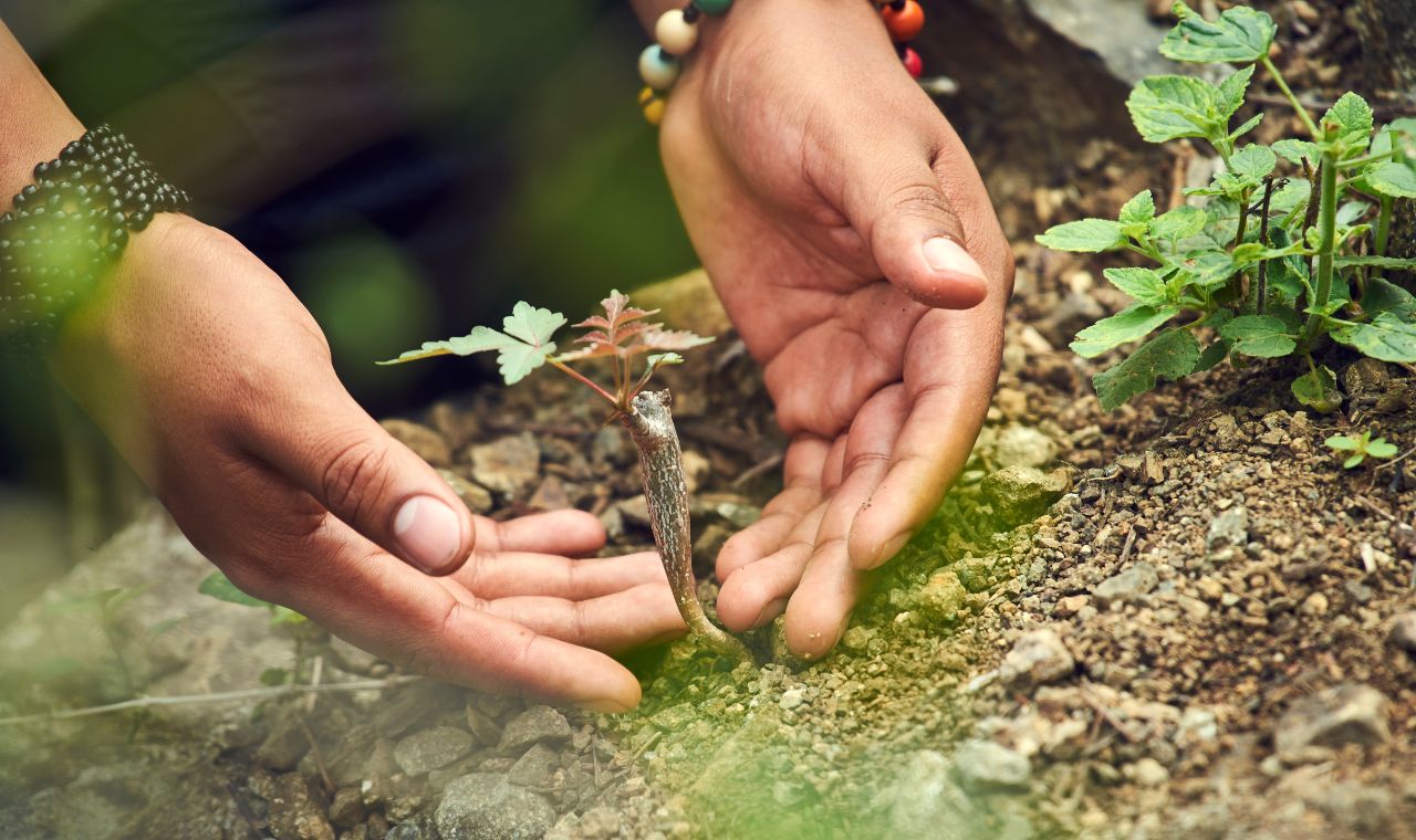 Palo Santo Bottle & Eco Stone Holder set
