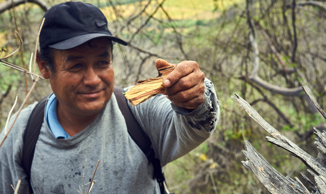 Palo Santo Bottle & Eco Stone Holder set